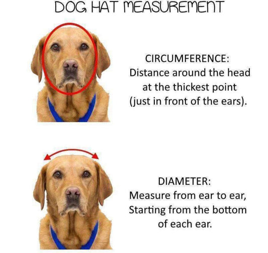 Cappellino per Animali Viola